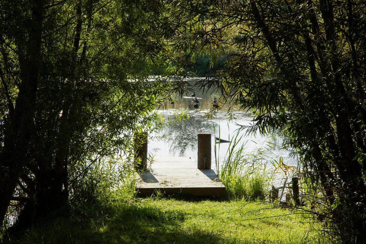 Naturnahes, Neu Moebl.apartment, Hundefreundlich *